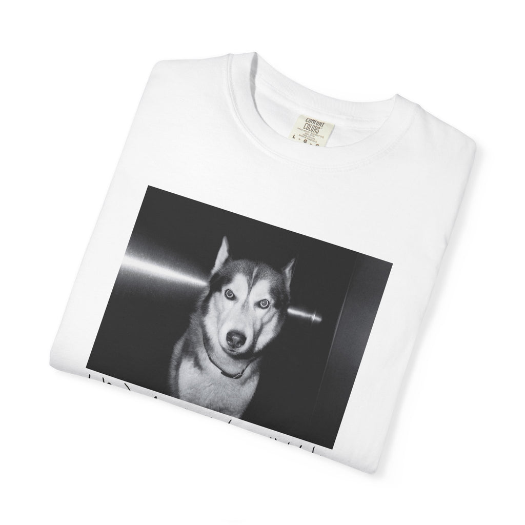 Sly TRI Unisex Garment-Dyed T-shirt
