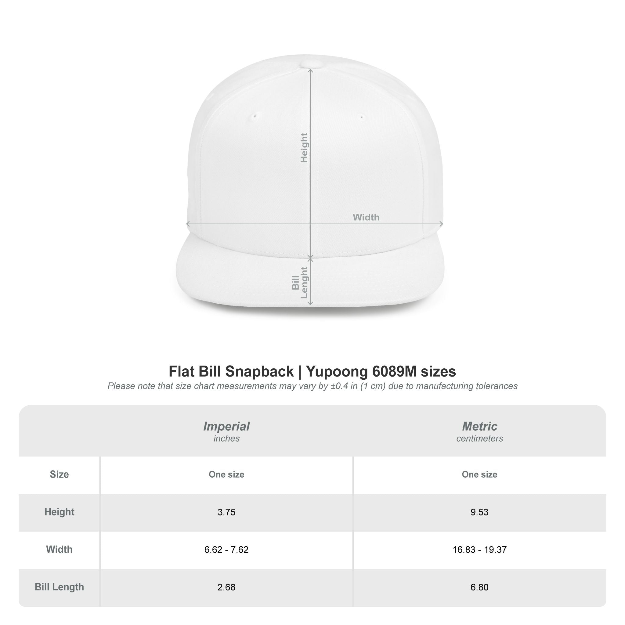 The Rickford Institute - Flat Bill Snapback